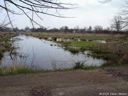 Pohnsdorder Stauung - Ostpolder