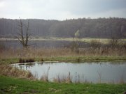 Pohnsdorfer Stauung - Westpolder