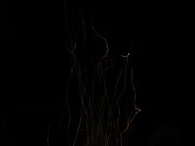 IMG_2331.JPG