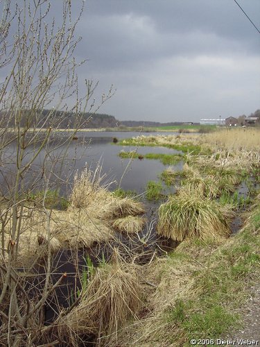 Pohnsdorfer Stauung - Westpolder