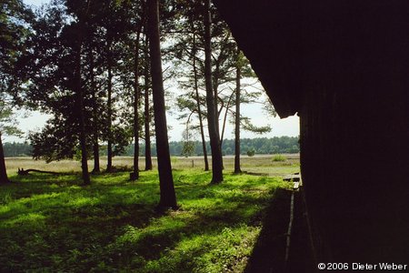 Reetgedeckter Schafstall