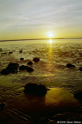 Sonnenuntergang über dem Wattenmeer