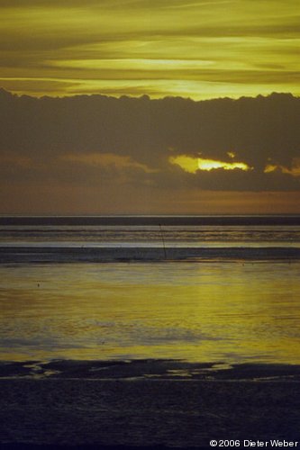 Sonnenuntergang über dem Wattenmeer