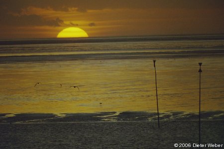 Sonnenuntergang über dem Wattenmeer