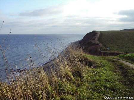 Ein Fleck Sonnenschein