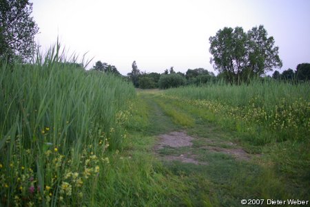 Naturschutzgebiet Tröndelsee