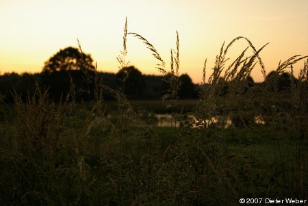Abend an der Pohnsdorfer Stauung