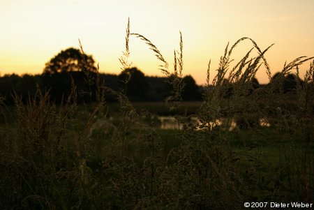 Abend an der Pohnsdorfer Stauung