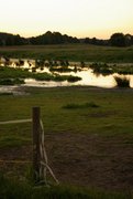 Abend an der Pohnsdorfer Stauung