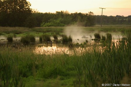 Abend an der Pohnsdorfer Stauung