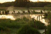 Abend an der Pohnsdorfer Stauung