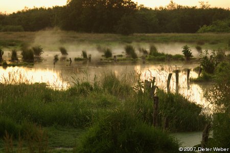 Abend an der Pohnsdorfer Stauung