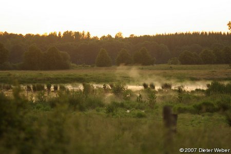 Abend an der Pohnsdorfer Stauung