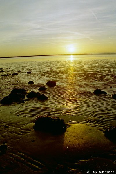 Sonnenuntergang über dem Wattenmeer