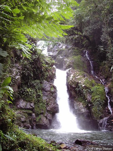 Wasserfall in der Mata Atlantica