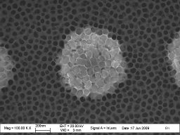 Pores in a porous alumina template